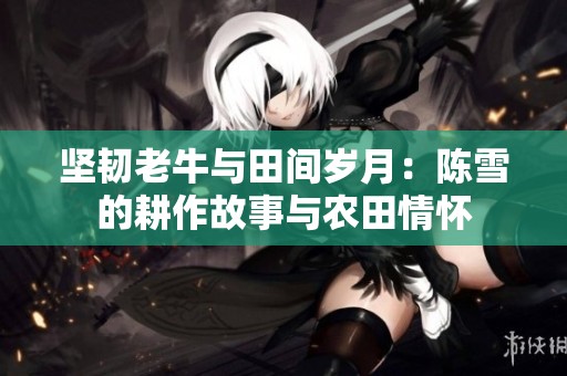 坚韧老牛与田间岁月：陈雪的耕作故事与农田情怀