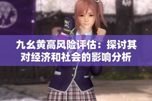 九幺黄高风险评估：探讨其对经济和社会的影响分析