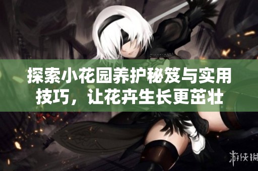 探索小花园养护秘笈与实用技巧，让花卉生长更茁壮