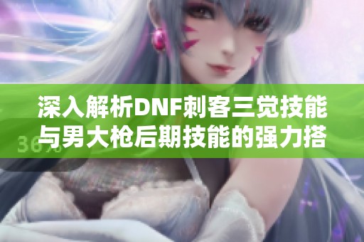 深入解析DNF刺客三觉技能与男大枪后期技能的强力搭配技巧