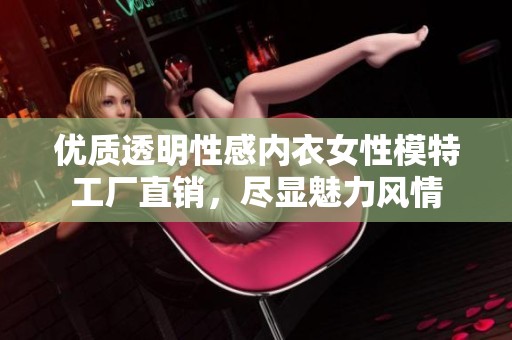 优质透明性感内衣女性模特工厂直销，尽显魅力风情