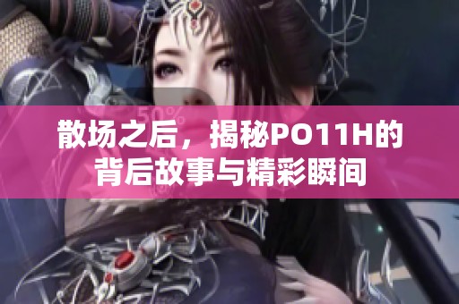 散场之后，揭秘PO11H的背后故事与精彩瞬间