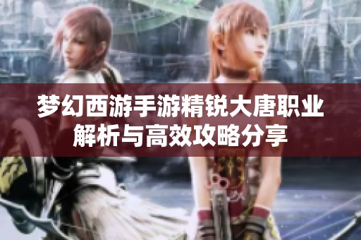 梦幻西游手游精锐大唐职业解析与高效攻略分享