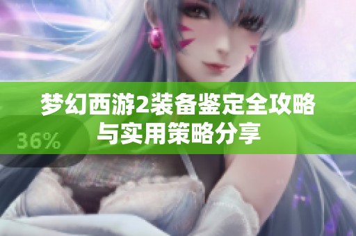 梦幻西游2装备鉴定全攻略与实用策略分享