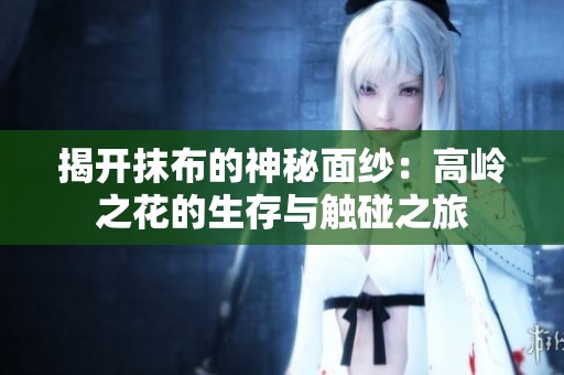 揭开抹布的神秘面纱：高岭之花的生存与触碰之旅