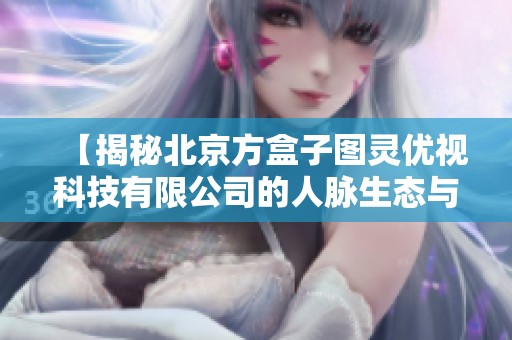 【揭秘北京方盒子图灵优视科技有限公司的人脉生态与资源优势】