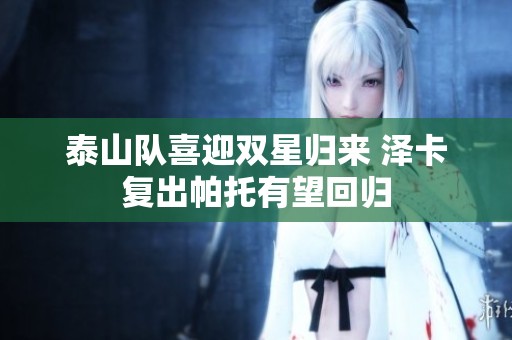 泰山队喜迎双星归来 泽卡复出帕托有望回归
