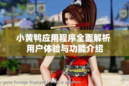 小黄鸭应用程序全面解析 用户体验与功能介绍