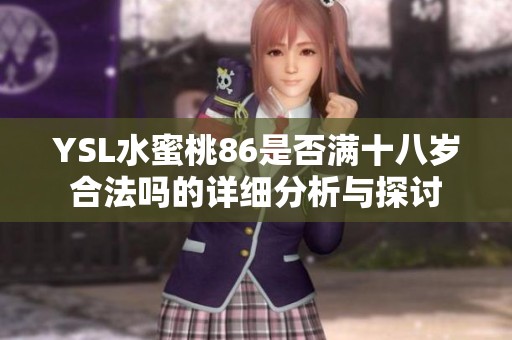YSL水蜜桃86是否满十八岁合法吗的详细分析与探讨