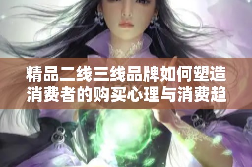 精品二线三线品牌如何塑造消费者的购买心理与消费趋势