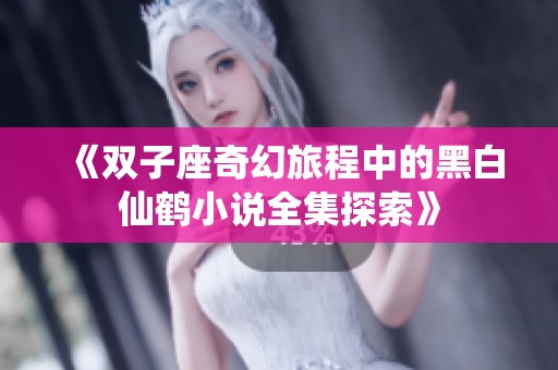 《双子座奇幻旅程中的黑白仙鹤小说全集探索》