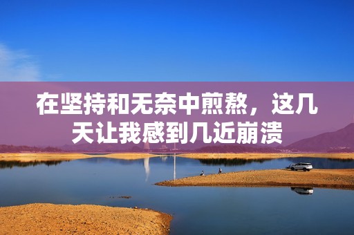 在坚持和无奈中煎熬，这几天让我感到几近崩溃