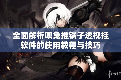全面解析呗兔推锅子透视挂软件的使用教程与技巧