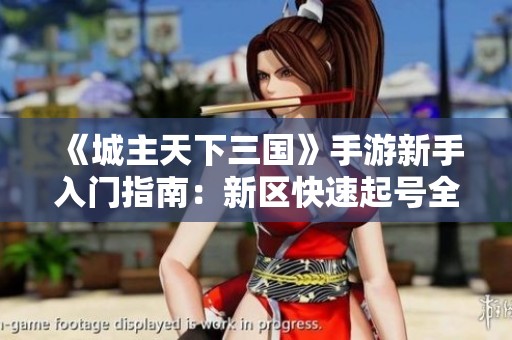 《城主天下三国》手游新手入门指南：新区快速起号全攻略