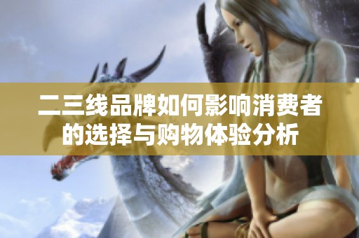 二三线品牌如何影响消费者的选择与购物体验分析