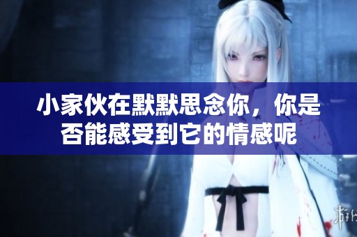 小家伙在默默思念你，你是否能感受到它的情感呢
