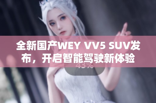 全新国产WEY VV5 SUV发布，开启智能驾驶新体验