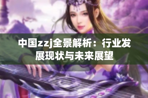 中国zzj全景解析：行业发展现状与未来展望
