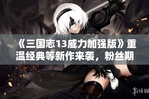 《三国志13威力加强版》重温经典等新作来袭，粉丝期待再创新高
