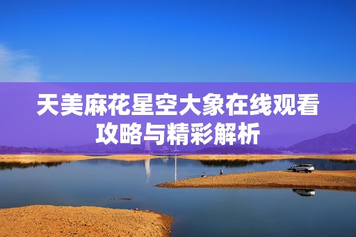 天美麻花星空大象在线观看攻略与精彩解析