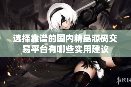 选择靠谱的国内精品源码交易平台有哪些实用建议