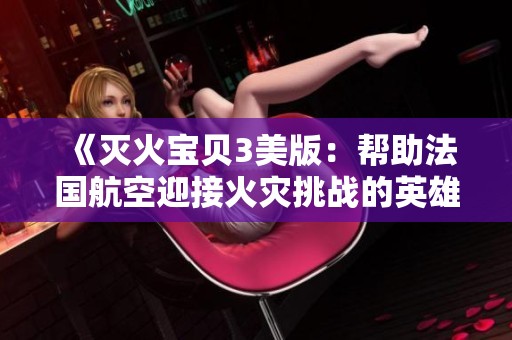 《灭火宝贝3美版：帮助法国航空迎接火灾挑战的英雄》