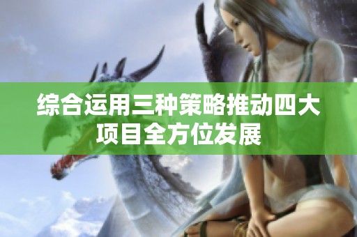 综合运用三种策略推动四大项目全方位发展