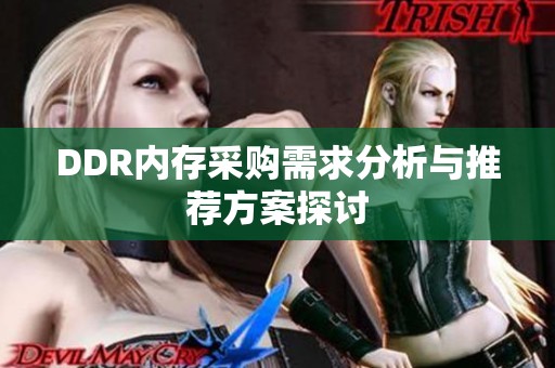 DDR内存采购需求分析与推荐方案探讨