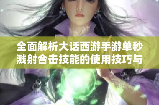 全面解析大话西游手游单秒溅射合击技能的使用技巧与策略
