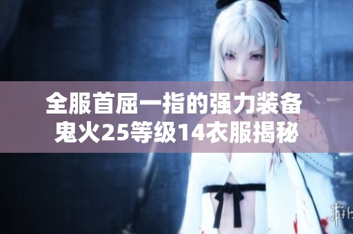 全服首屈一指的强力装备 鬼火25等级14衣服揭秘