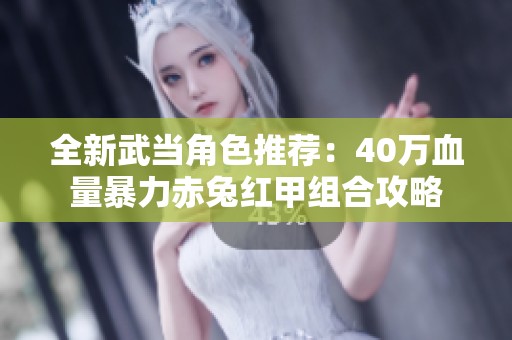全新武当角色推荐：40万血量暴力赤兔红甲组合攻略