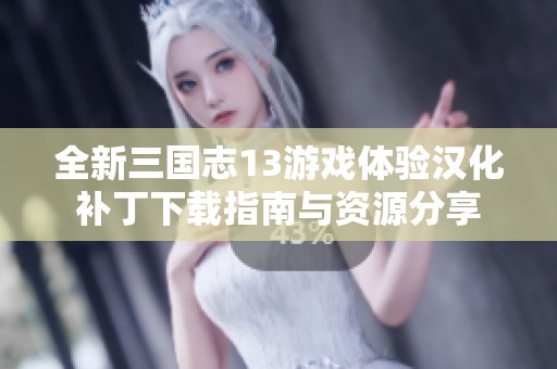 全新三国志13游戏体验汉化补丁下载指南与资源分享
