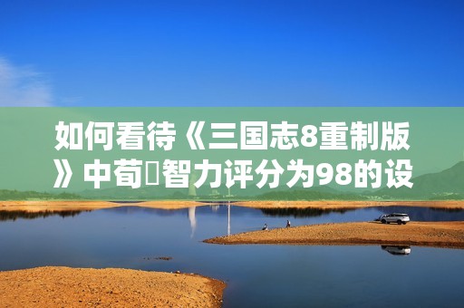 如何看待《三国志8重制版》中荀彧智力评分为98的设计思路