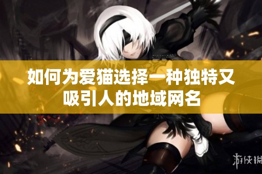 如何为爱猫选择一种独特又吸引人的地域网名