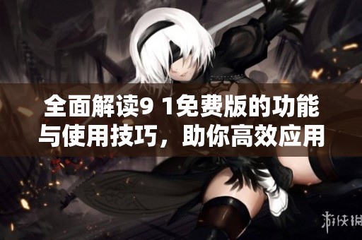 全面解读9 1免费版的功能与使用技巧，助你高效应用