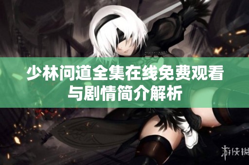 少林问道全集在线免费观看与剧情简介解析