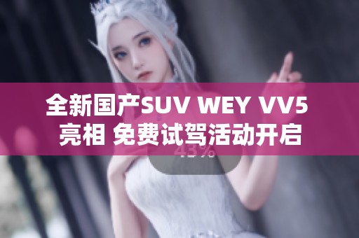 全新国产SUV WEY VV5 亮相 免费试驾活动开启