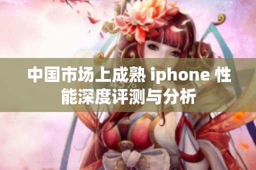 中国市场上成熟 iphone 性能深度评测与分析