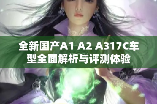 全新国产A1 A2 A317C车型全面解析与评测体验