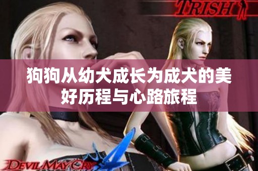 狗狗从幼犬成长为成犬的美好历程与心路旅程