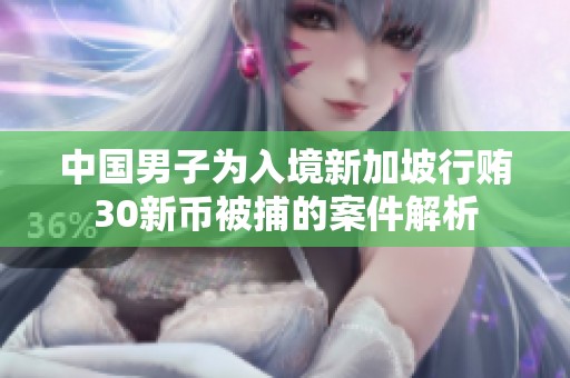 中国男子为入境新加坡行贿30新币被捕的案件解析