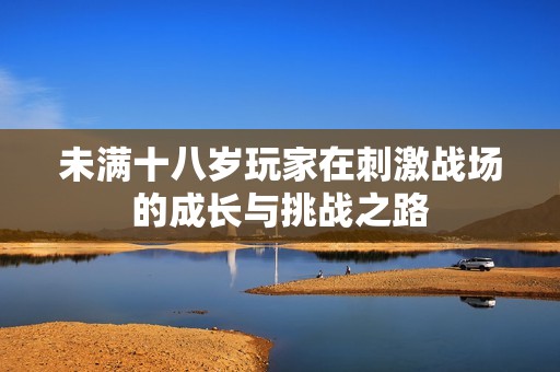 未满十八岁玩家在刺激战场的成长与挑战之路
