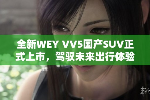 全新WEY VV5国产SUV正式上市，驾驭未来出行体验