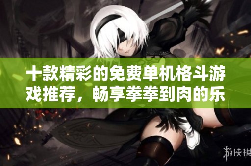 十款精彩的免费单机格斗游戏推荐，畅享拳拳到肉的乐趣