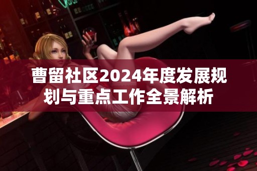 曹留社区2024年度发展规划与重点工作全景解析
