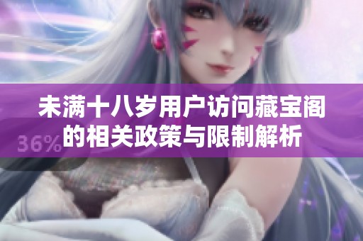 未满十八岁用户访问藏宝阁的相关政策与限制解析