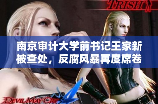 南京审计大学前书记王家新被查处，反腐风暴再度席卷校园