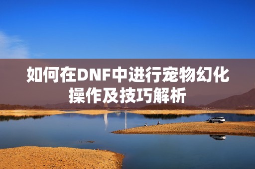 如何在DNF中进行宠物幻化操作及技巧解析