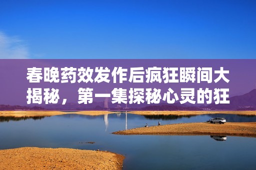 春晚药效发作后疯狂瞬间大揭秘，第一集探秘心灵的狂欢
