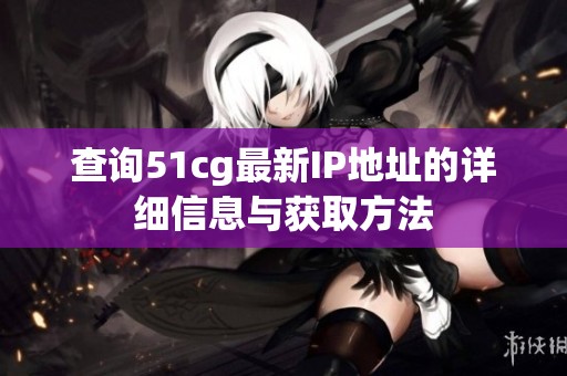 查询51cg最新IP地址的详细信息与获取方法